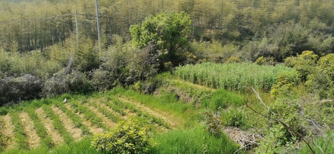 �㽭������̬ũҵ�������޹�˾